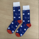 Dachshund Rescue socks